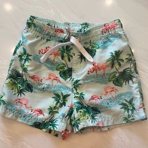 Boys Janie & Jack Swim Trunks